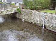 vergr&ouml;&szlig;ern